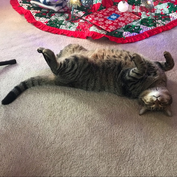 Meet your Posher, Faith - Picture 1 of 1